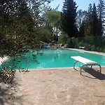 Le Ginestruzze