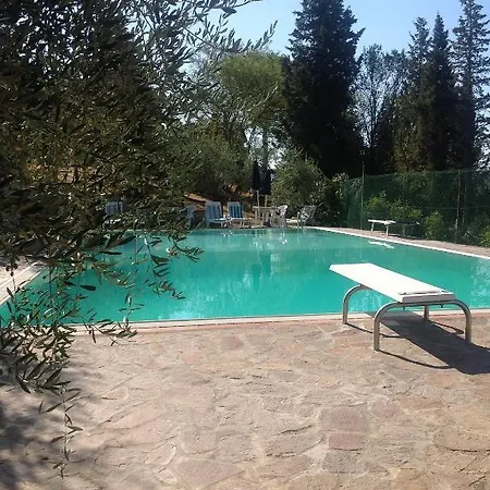 Le Ginestruzze