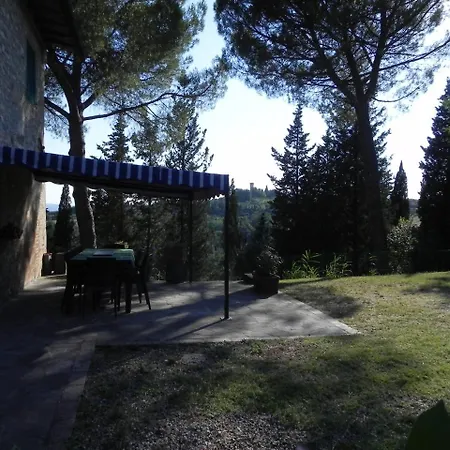 Le Ginestruzze